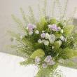 【生花】アワ　60cm-　熊本　JAあまくさなど※時期によりボリューム変化あります。※木金入荷少【FJ】