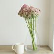 【生花】セダム(ピンク)40cmー【OT】※花色時期により異なる。