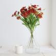 【生花】ヘレニウム(赤〜赤茶系)60cm程度【OT】六合村ほか