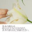 【生花】八重咲きオリエンタルユリ(白)ホワイトトルネードなど【OR-13】