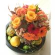 【生花】おもちゃかぼちゃ M〜Lサイズ(MIX)【OT】