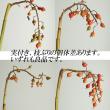 【08直前!】ゲットウの実(70cm程度)鹿児島【生花】