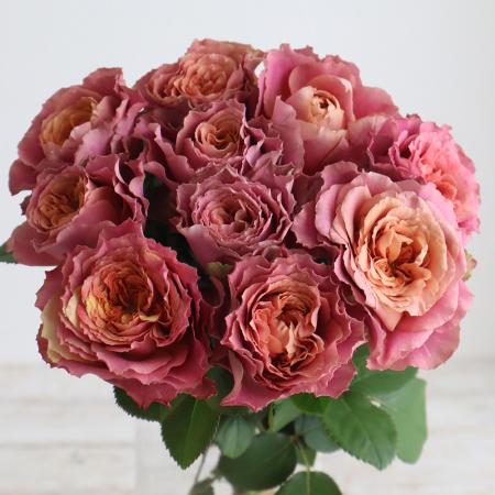 【08直前SE】【生花】バラ　ダズンミーンエニシング 30cm　堀木バラ園