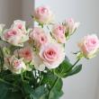 【生花】SPバラおまかせ　淡いピンク系(品種おまかせ)【OT】