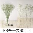 【生花】HBチース(白)キノブランなど　60cm程度　北海道、長野など【OT】