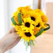 【生花】プチひまわり(オレンジ) 花径約3-5cm　折原園芸　SRマンゴーなど【FJ】