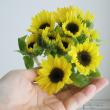 【生花】プチひまわり(黄色) 花径約3-5cm　折原園芸　SRレモンなど【FJ】
