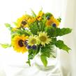 【生花】ヒマワリ　オレンジ芯黒(φ約7～10cm程度)【OT】