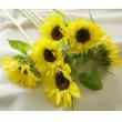 【直前!!】ヒマワリ　黄色芯黒(約7〜10cm)SRレモン折原園芸