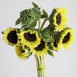 【直前!!】ヒマワリ　黄色芯黒(約7〜10cm)SRレモン折原園芸