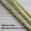 【生花】ヒマワリ 　サンリッチライチ(黄色×茶スジ)【OT】千葉県ほか