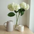 【生花】輸入アジサイ(白)40cm〜【OR-89】