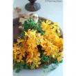 【生花】モカラ　サイアムゴールド(濃い黄/丸弁)【早締切-74】