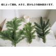 【生花】オレゴン産　モミ枝チップ(LOT割1/4cs)