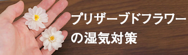 プリザーブドフラワーの湿気対策